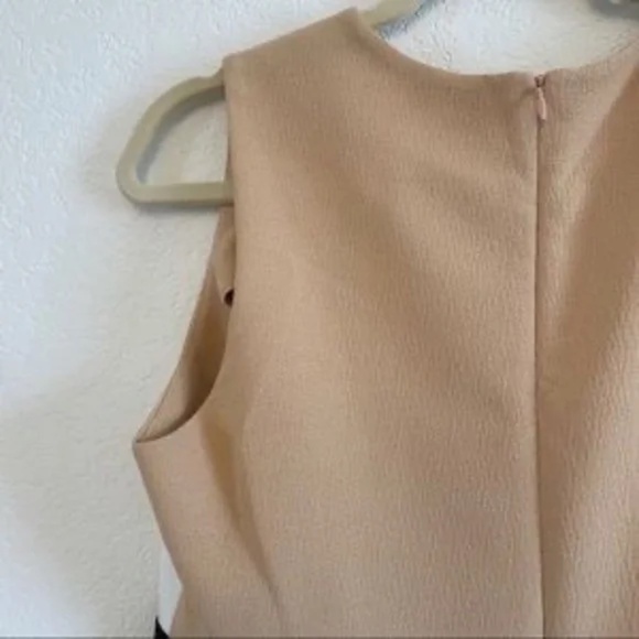 Zara L Tri Color Block Shift Dress - Picture 4 of 6